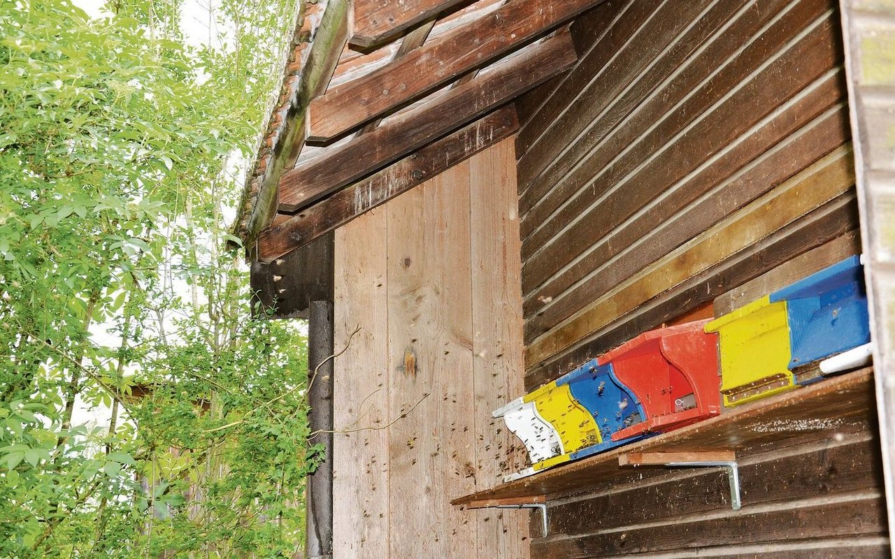 Das Bienenhaus ist wichtig für die Bestäubung der vielen Obstbäume auf dem Hof. 