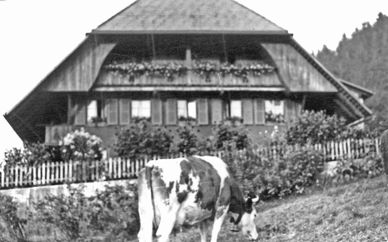 Auf dem Pachtbetrieb Rothenfluh in Trubschachen waren Bieris 15 Jahre lang. Der Betrieb war 40 Hektaren gross und mit noch einmal so viel Wald. 