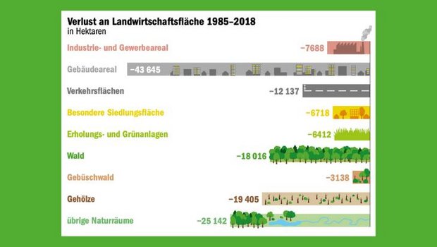 Siedlungen und Wald statt Felder und Wälder. Diese Entwicklung zeigt sich in der Schweiz schon lange. (Quelle Arealstatistik Schweiz/Grafik mi)