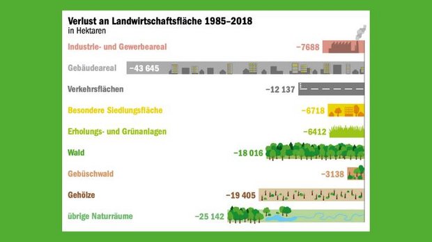 Landwirtschaft in Zahlen: Bauern verlieren weiter an Boden Siedlungen und Wald statt Felder und Wälder. Diese Entwicklung zeigt sich in der Schweiz schon lange. (Quelle Arealstatistik Schweiz/Grafik mi)