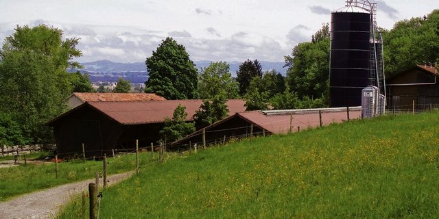 Für die Erstellung von Stallbauten muss die Gewinn- und Ertragsorientierung aufgezeigt werden. (Bild: BauZ)