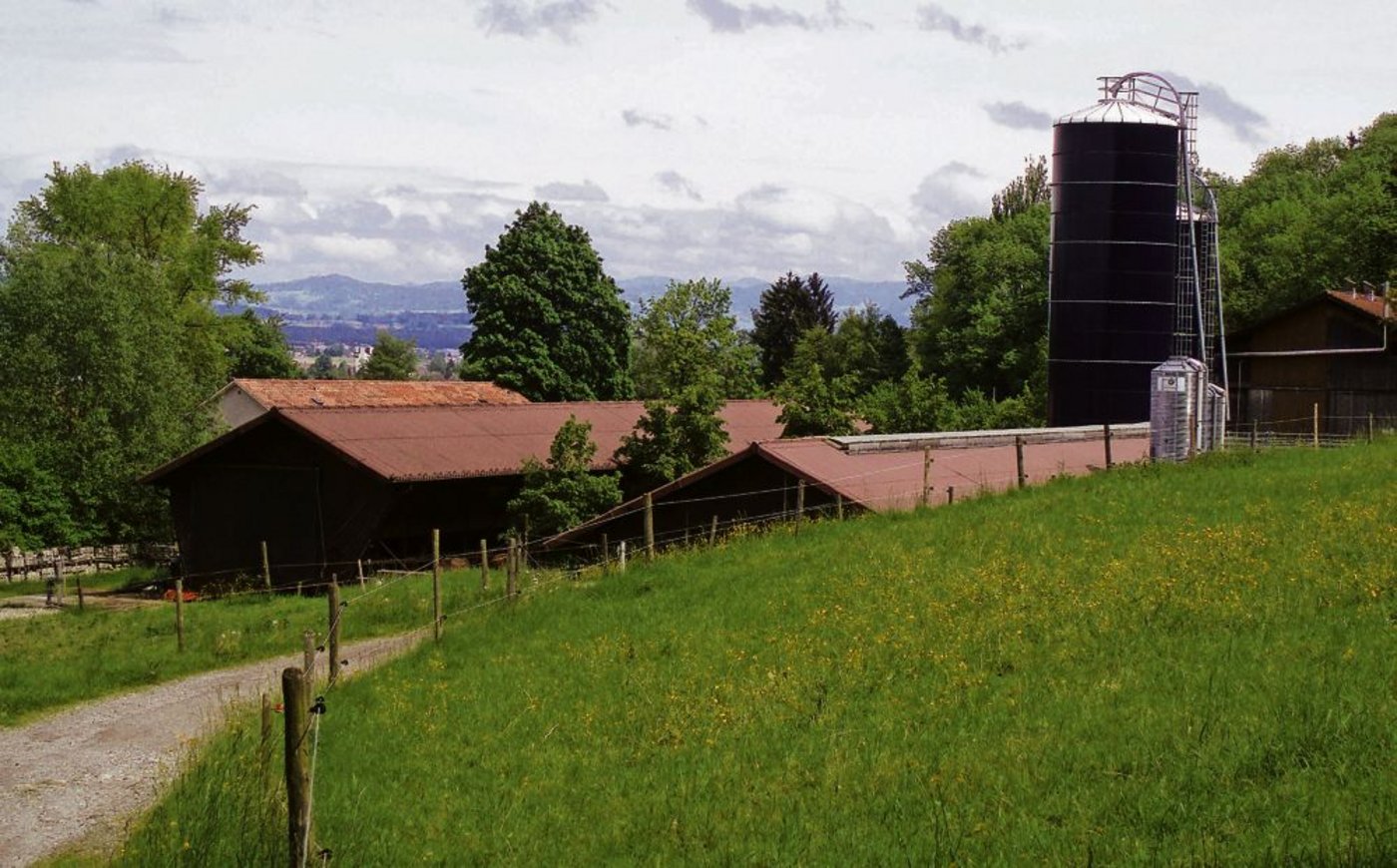 Für die Erstellung von Stallbauten muss die Gewinn- und Ertragsorientierung aufgezeigt werden. (Bild: BauZ)