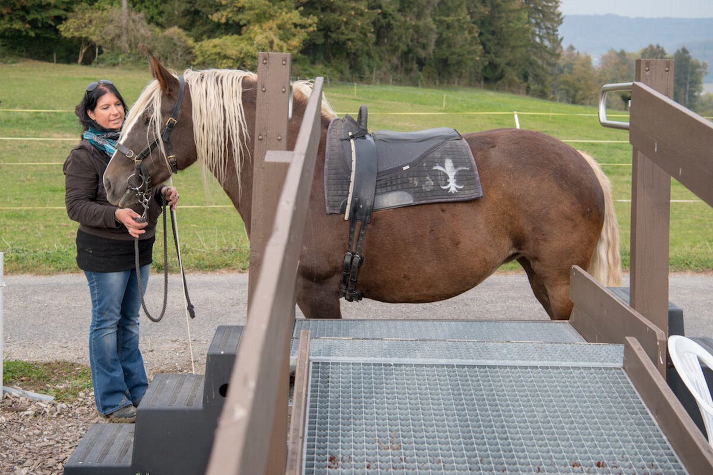 Eine Rampe erleichtert das Aufsitzen auf das Therapiepferd. (Foto: Marion Nitsch)