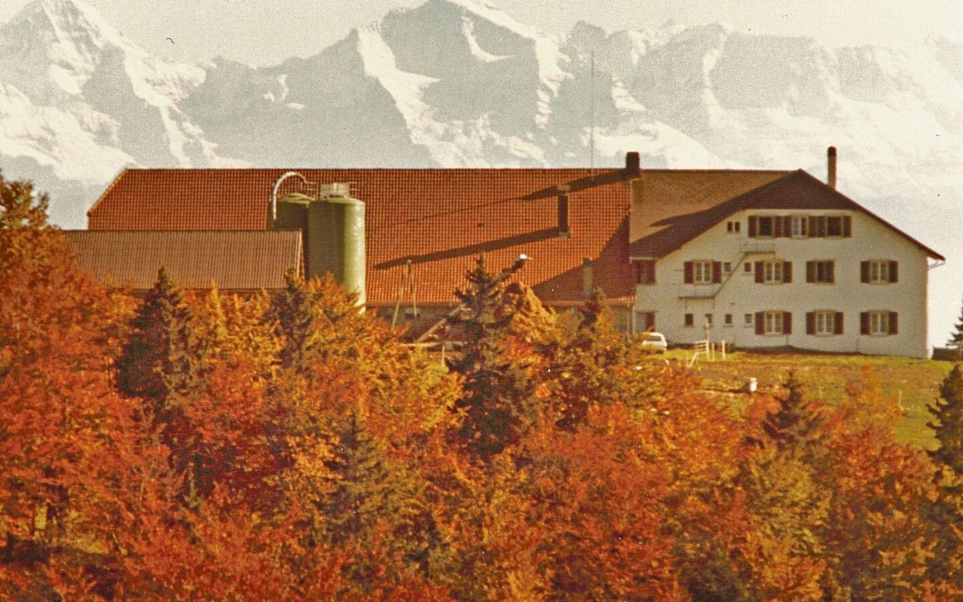 1981 zügelte man auf den Untergrenchenberg in den Kanton Solothurn. Ein Bergbetrieb mit Restaurant auf 1300 m ü. M. Die Aussicht auf die Berner Alpen ist dort bei schönem Wetter grandios. 