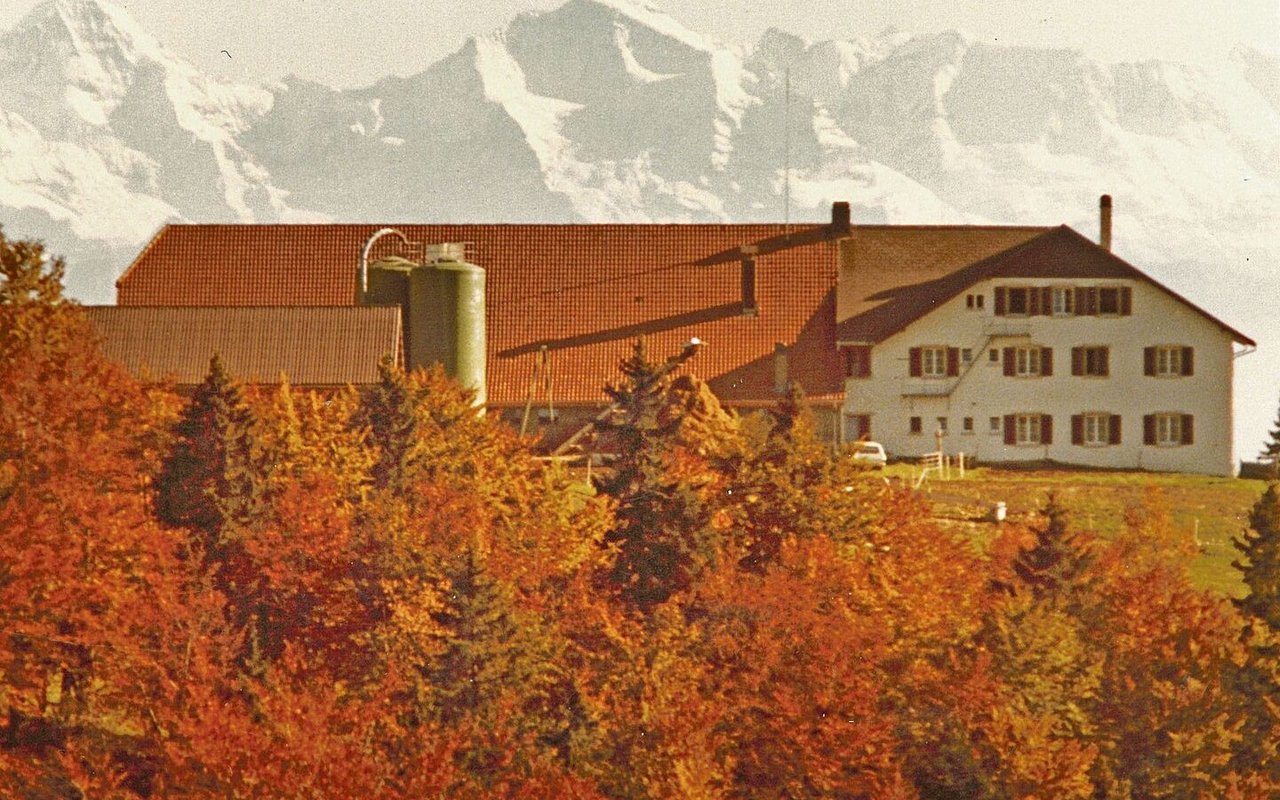 1981 zügelte man auf den Untergrenchenberg in den Kanton Solothurn. Ein Bergbetrieb mit Restaurant auf 1300 m ü. M. Die Aussicht auf die Berner Alpen ist dort bei schönem Wetter grandios. 