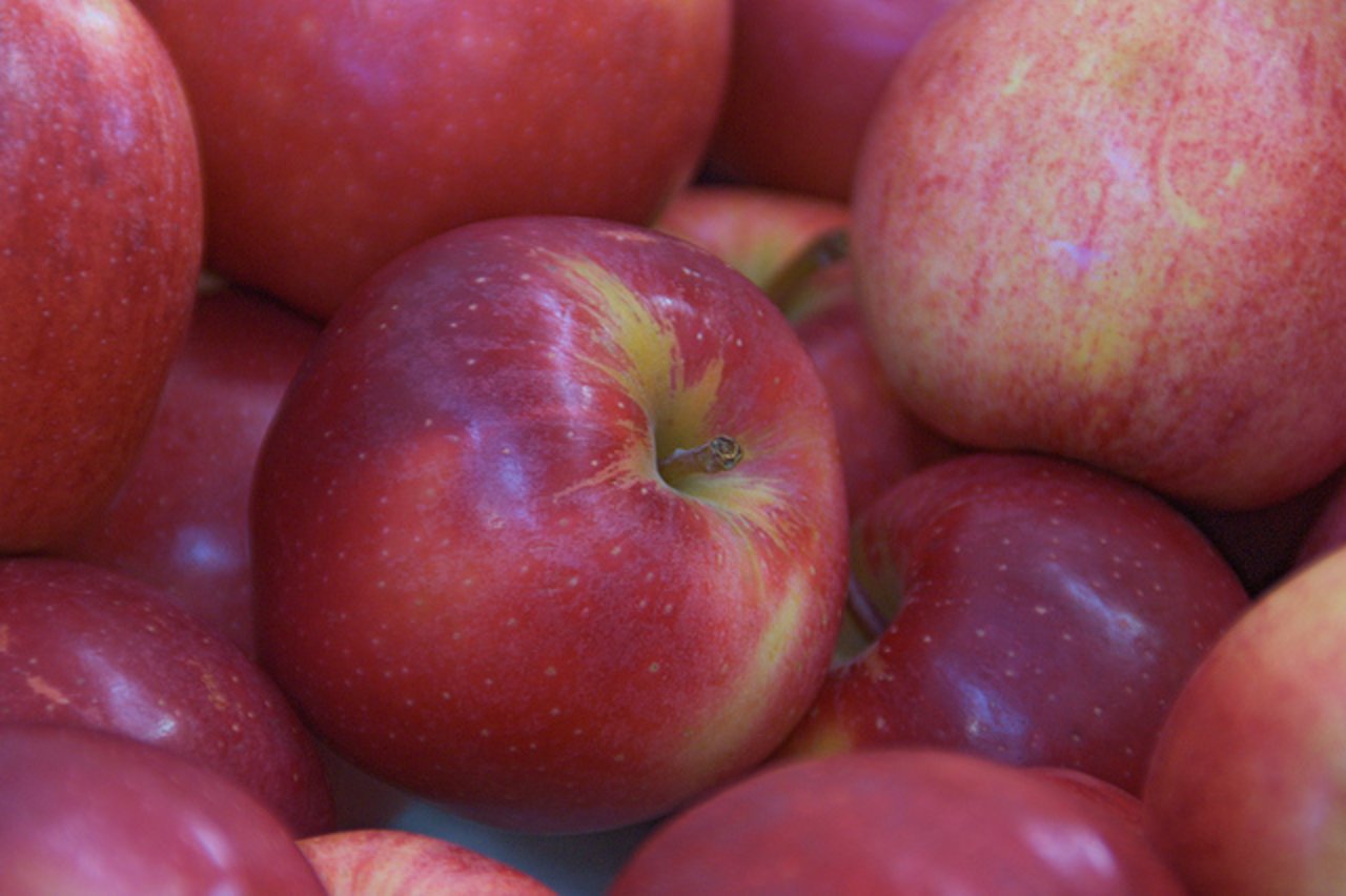 In diesem Herbst verkauften die Obstbauern weniger Tafeläpfel. (Bild lid)
