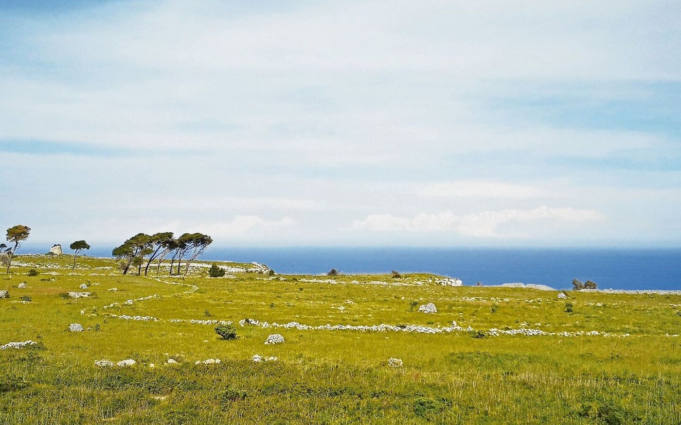 Die Landschaft in der italienischen Region Salento, dem «Stiefelabsatz» Italiens, ist wunderschön und aussergewöhnlich.