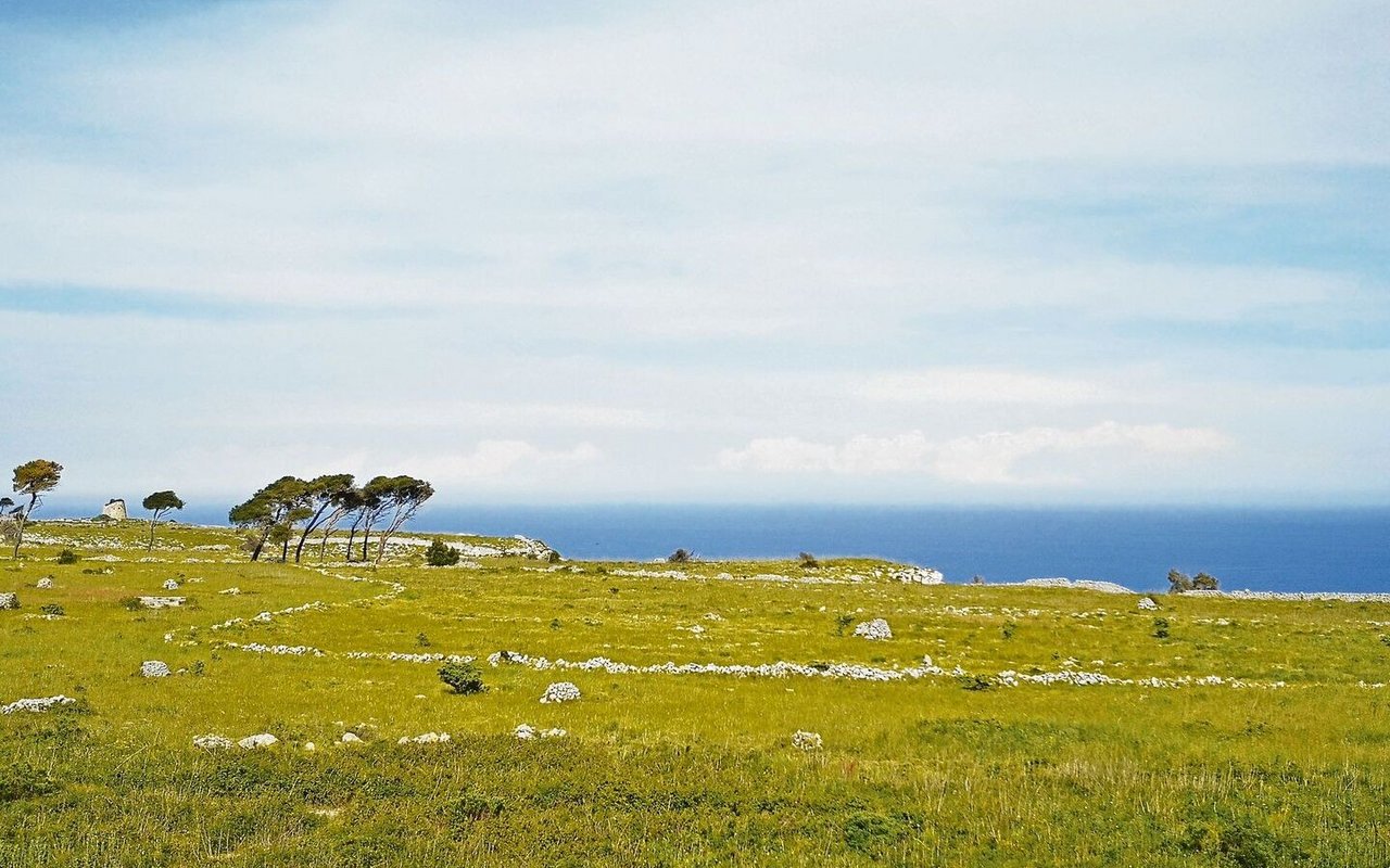 Die Landschaft in der italienischen Region Salento, dem «Stiefelabsatz» Italiens, ist wunderschön und aussergewöhnlich.