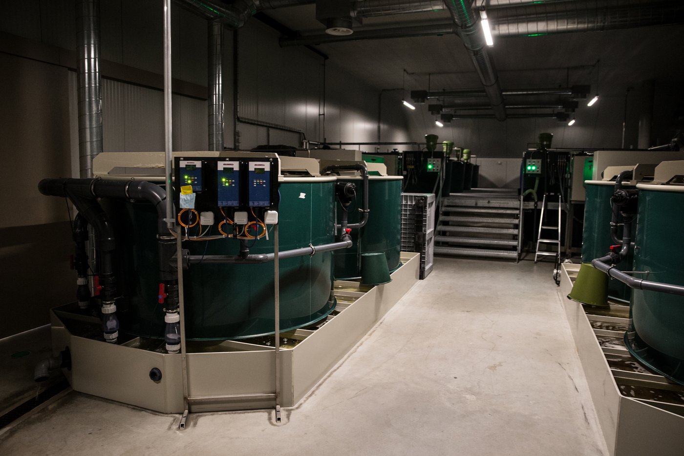 Blick in die Fischzuchtanlage mit den Biofiltern vorne und den Fischbecken hinten. (Bild zVg) 