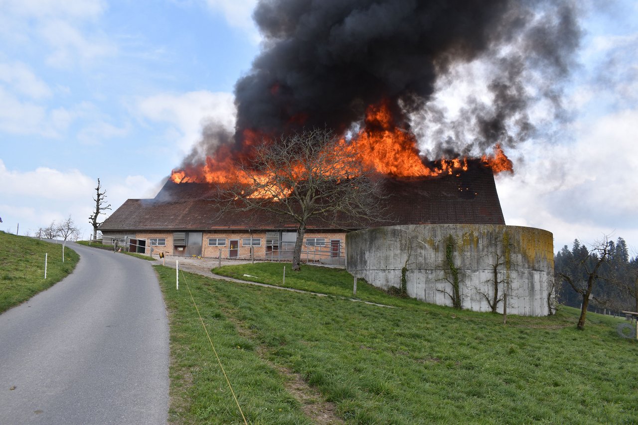 Die Brandursache wird von der Luzerner Polizei untersucht.