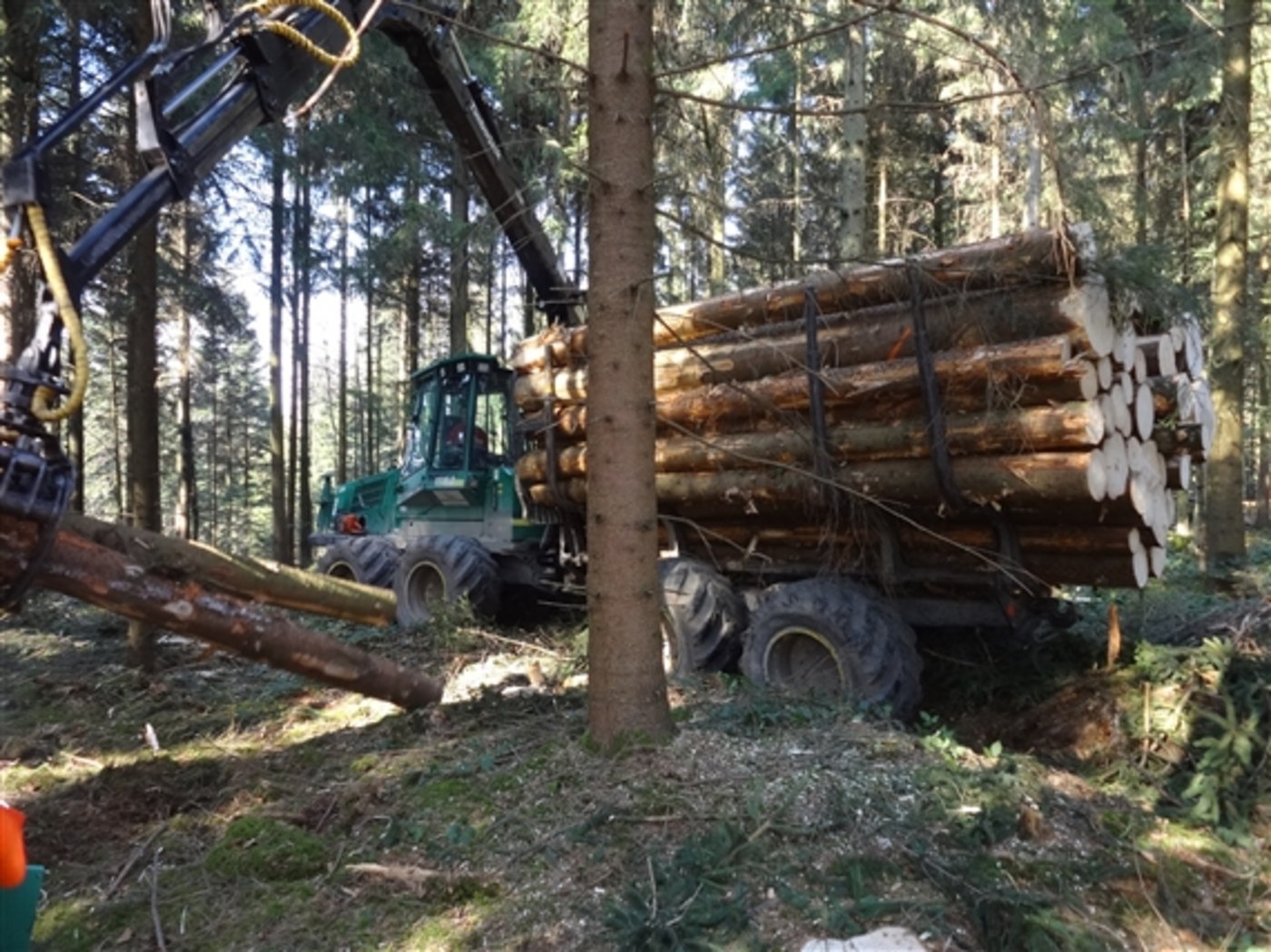 Holzernte mit Forwarder im Wald. (Bild Josef Scherer)