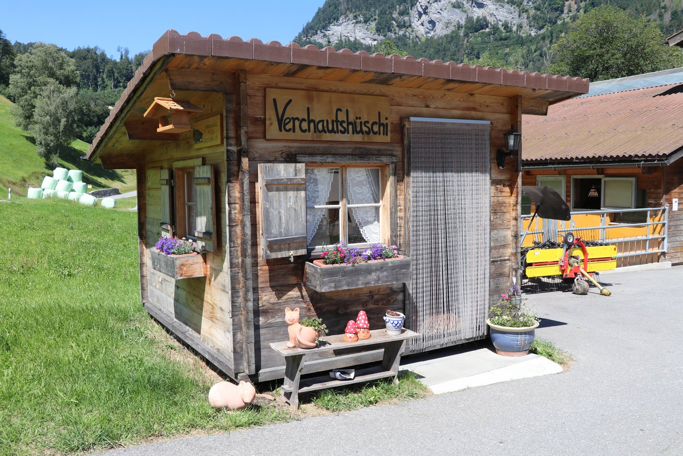 Im liebevoll eingerichteten Hofladen auf dem Sananggahof verkauft Elisabeth Egli feine Strahlengeiss-Produkte und Schaffell-Produkte. (Bild lid)