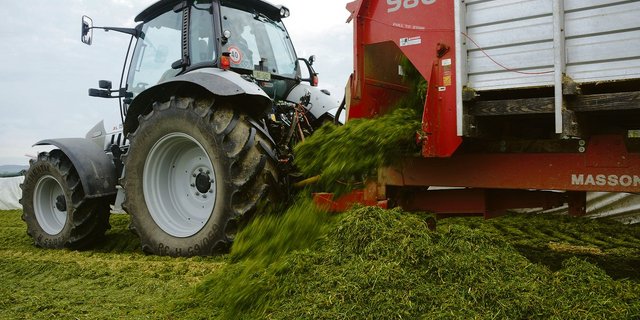 Vielerorts wurde schon Gras einsliliert oder es wird in den nächsten Wochen passieren. (Bild rae)