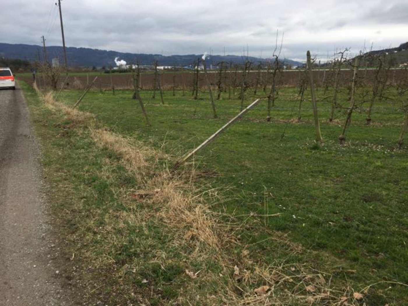 verschiedene Sachbeschädigungen.