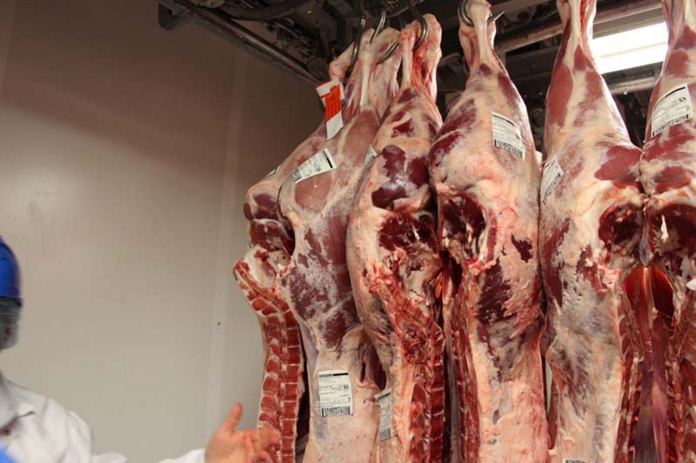 Taxierung H3 91,5 kg rechts C3 131,5kg.