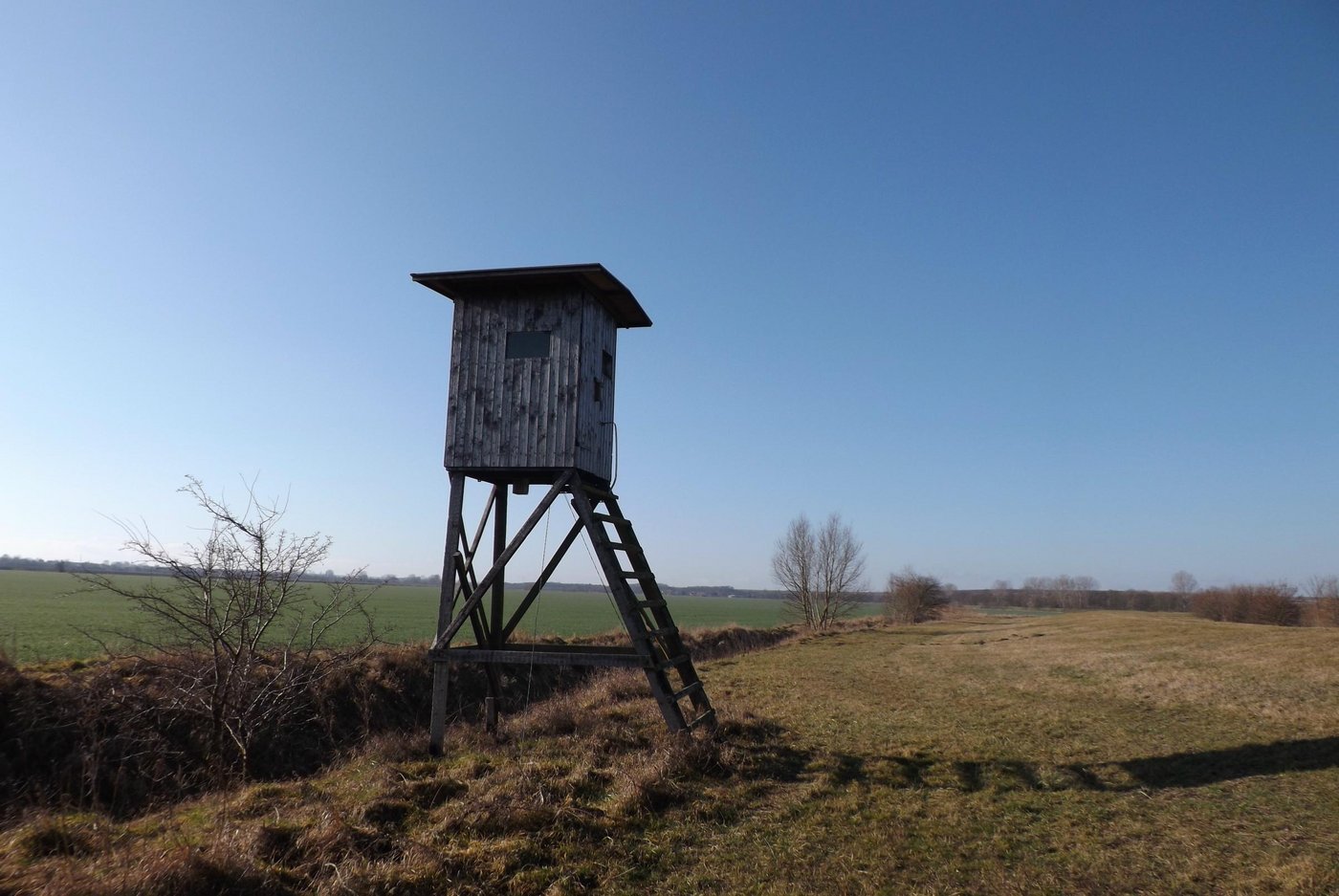 Ein Hochsitz: Jagdbanngebiete sollen einen neuen Namen erhalten. (Bild Michael Loeper  / pixelio.de) 