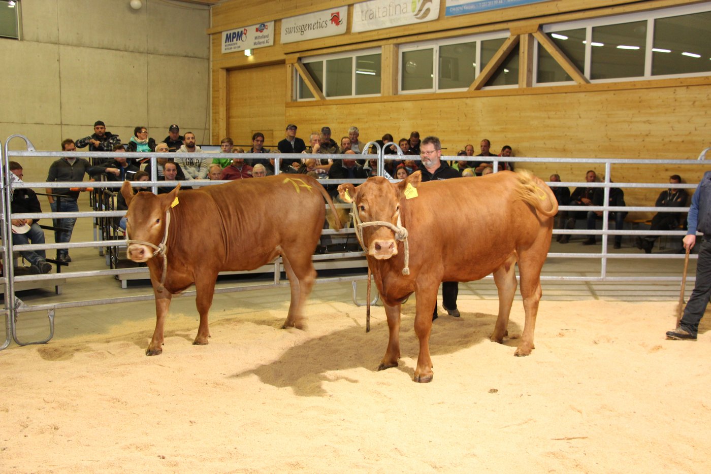 Aufgrund der Trockenheit könnte man mit dem Verlauf der Auktion zufrieden sein, hiess vom OK. 