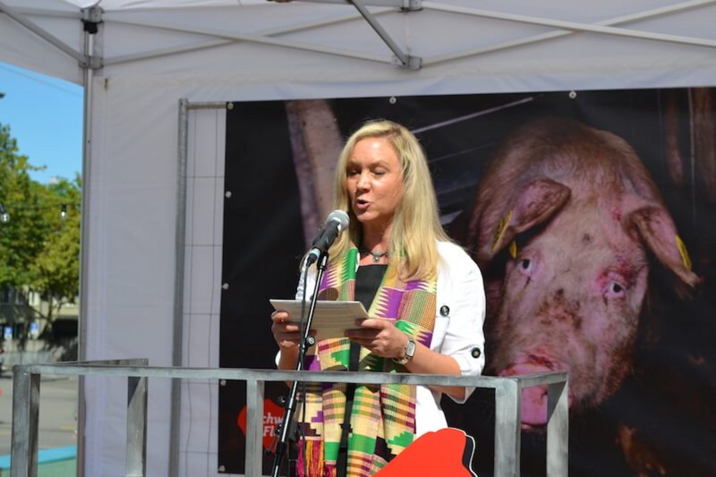 Vera Weber von der Fondation Franz Weber fand, die Massentierhaltungsinitiative sei von diversen Aktualitäten als richtig  bestätigt worden. (Bild jsc)