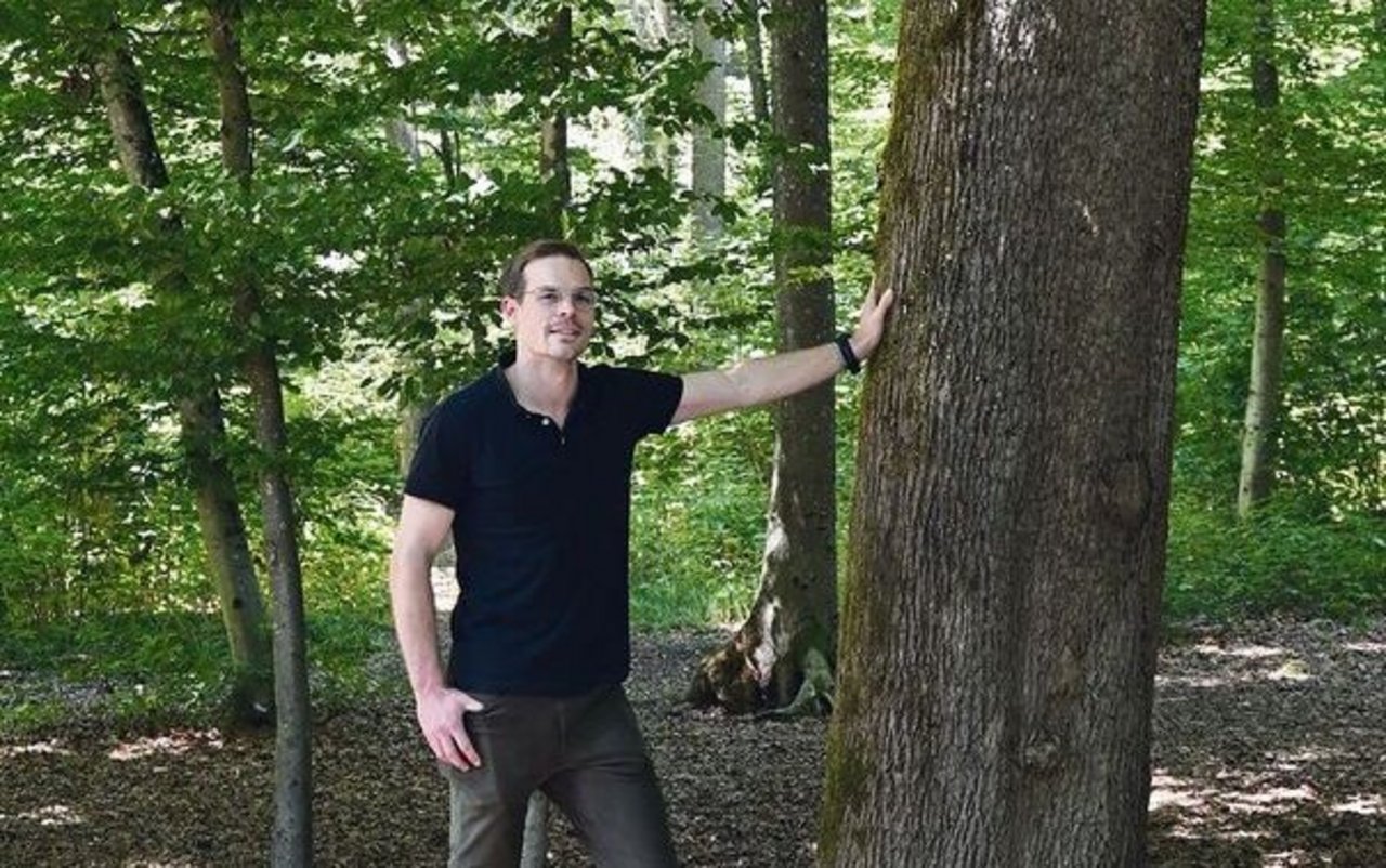 Wo fotografiert man Philipp Egloff? Natürlich im Wald. Der stattliche Spitzahorn eignet sich bestens als Sujet. 