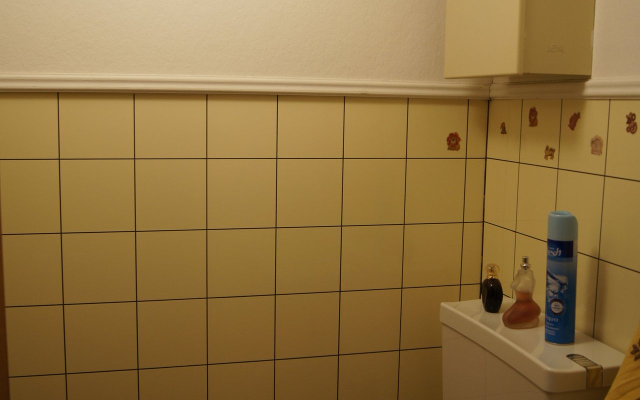 Vorher: Die Toilette mit alten Wandplättli. (Bild Christa Felder)
