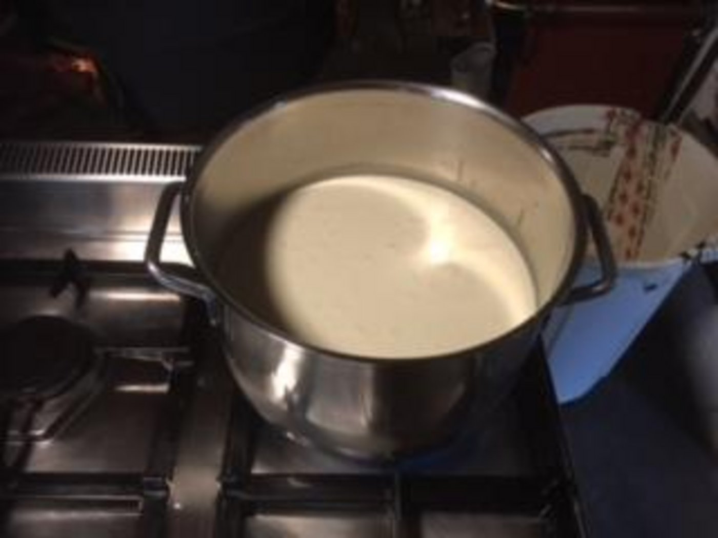 Alp Steistoos. (Bild Jessica und Raphael Rinnerthaler)