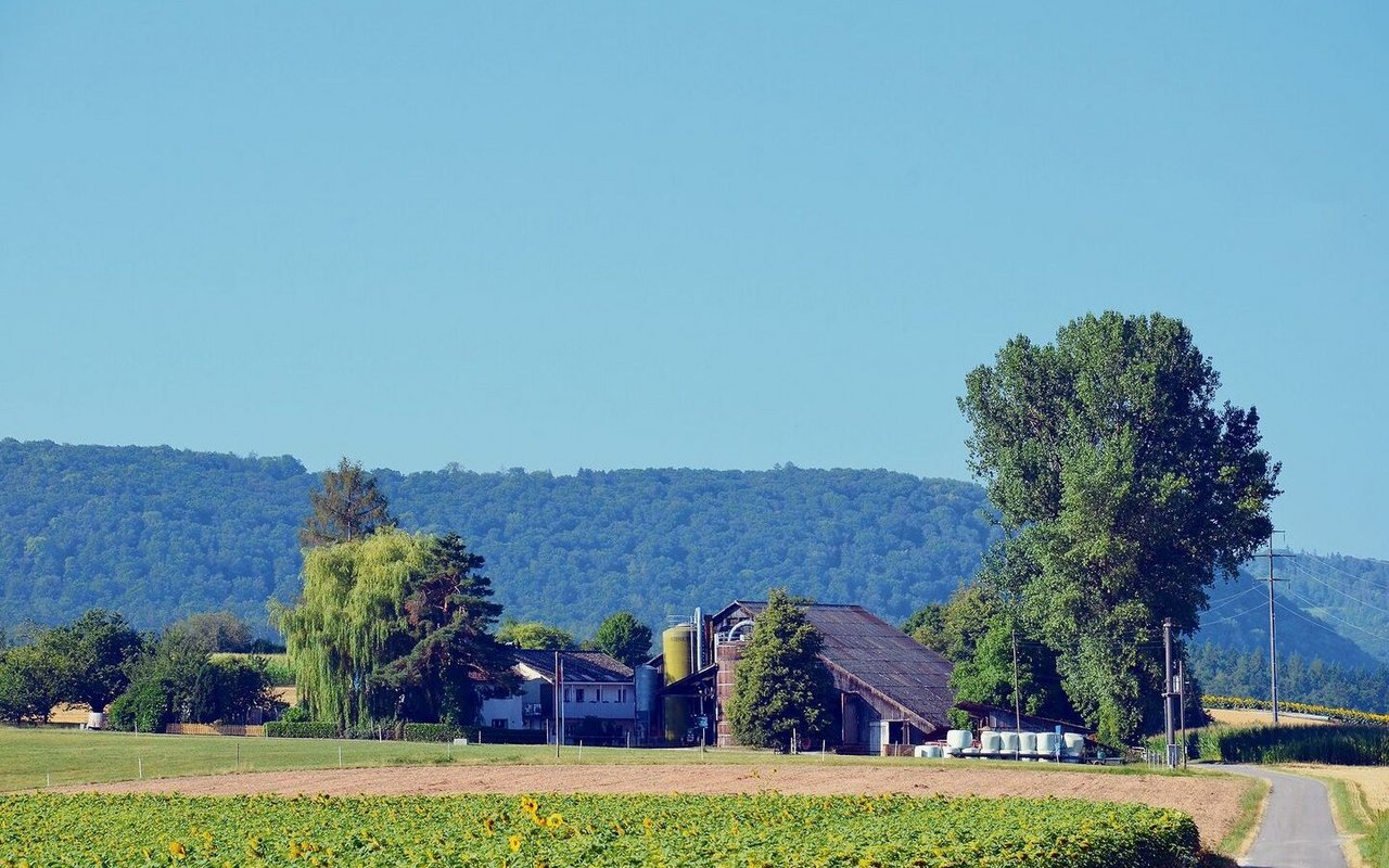 Der Hof umfasst 28 ha landwirtschaftliche Nutzfläche. Im Hintergrund sieht man das Ökonomie- und die Wohngebäude. Die Wohnung des jungen Paares und der Eltern stehen sehr nahe beieinander. 