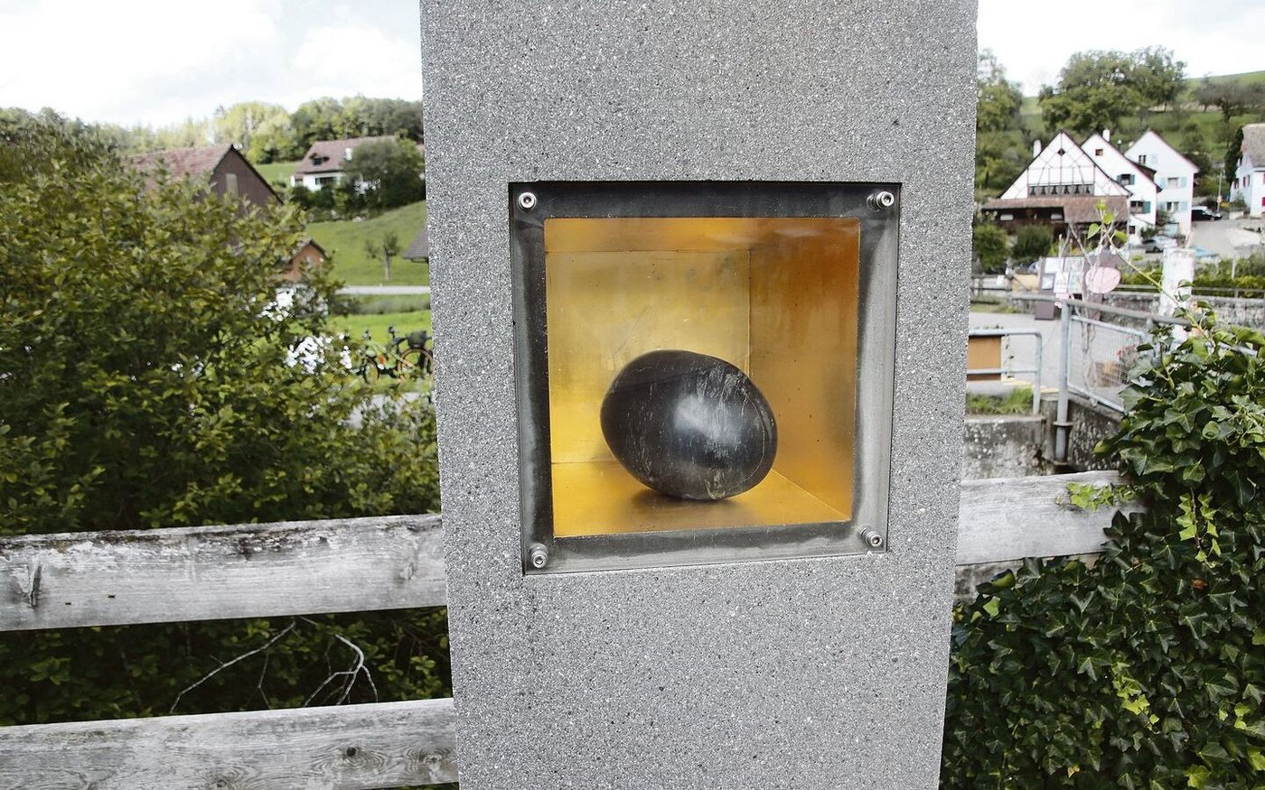 Die Bevölkerung aus Bibern setzte der einheimischen Zwetschgensorte «Die Schöne von Bibern» ein Denkmal. 