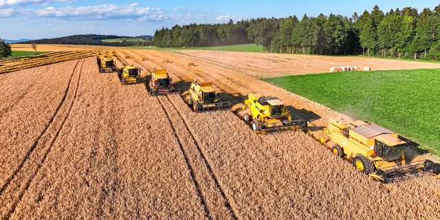 Mähdreschen ist für die meisten Landwirte ein alljährliches Highlight. Eine gute Zusammenarbeit zwischen Landwirt und Lohnunternehmer erleichtert die Planung.