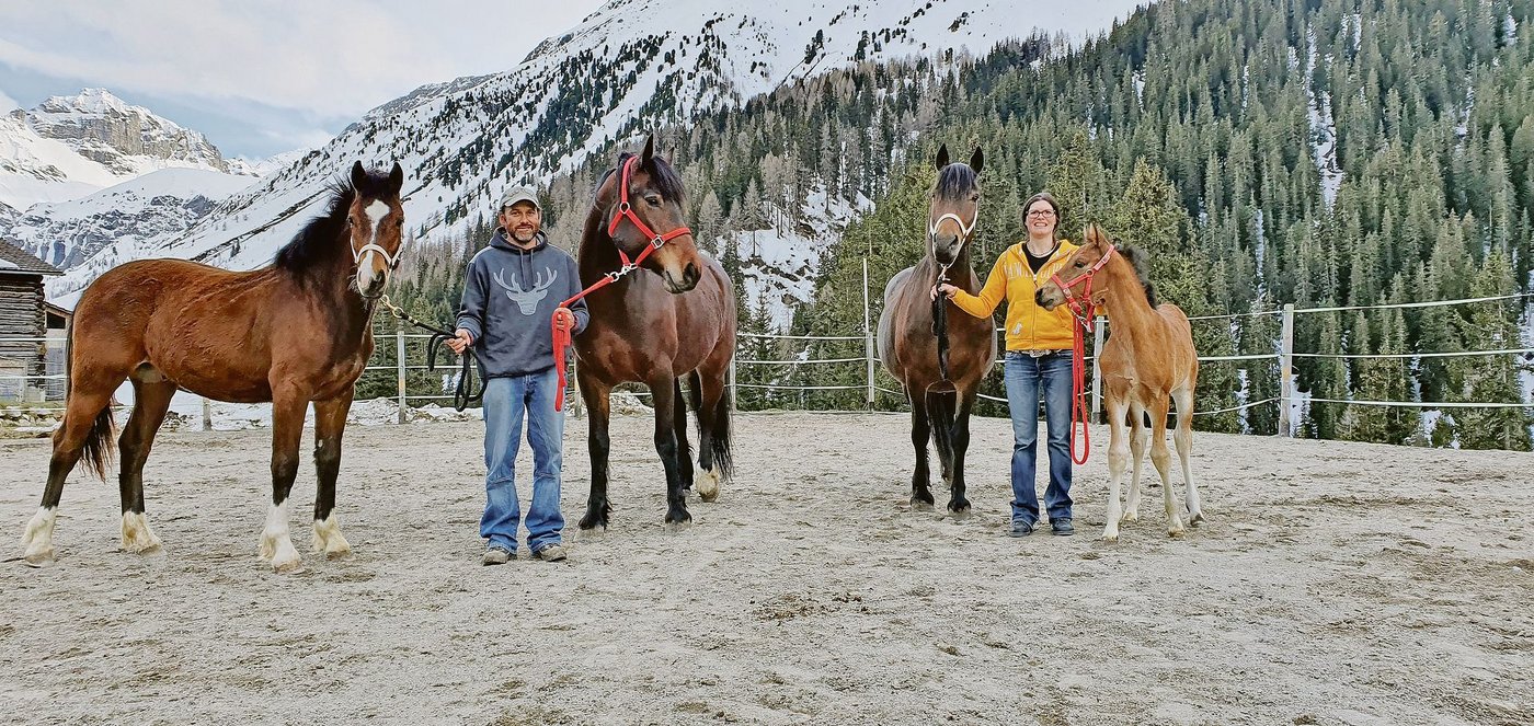 Die Familie Patrick und Petra Adank-Vinzens vom Hof Gaschurna ist stolz auf ihre Freibergerzucht: Patrick Adank mit Cash und Elena, Petra Adank   mit Ella und Dakota. (Bilder Vrena Crameri-Daeppen)