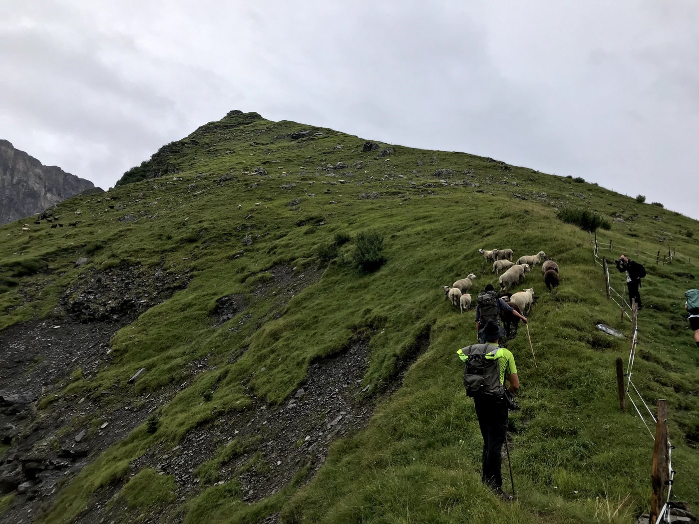 Die Medienleute besteigen die Alp unter Führung von Max Müller.