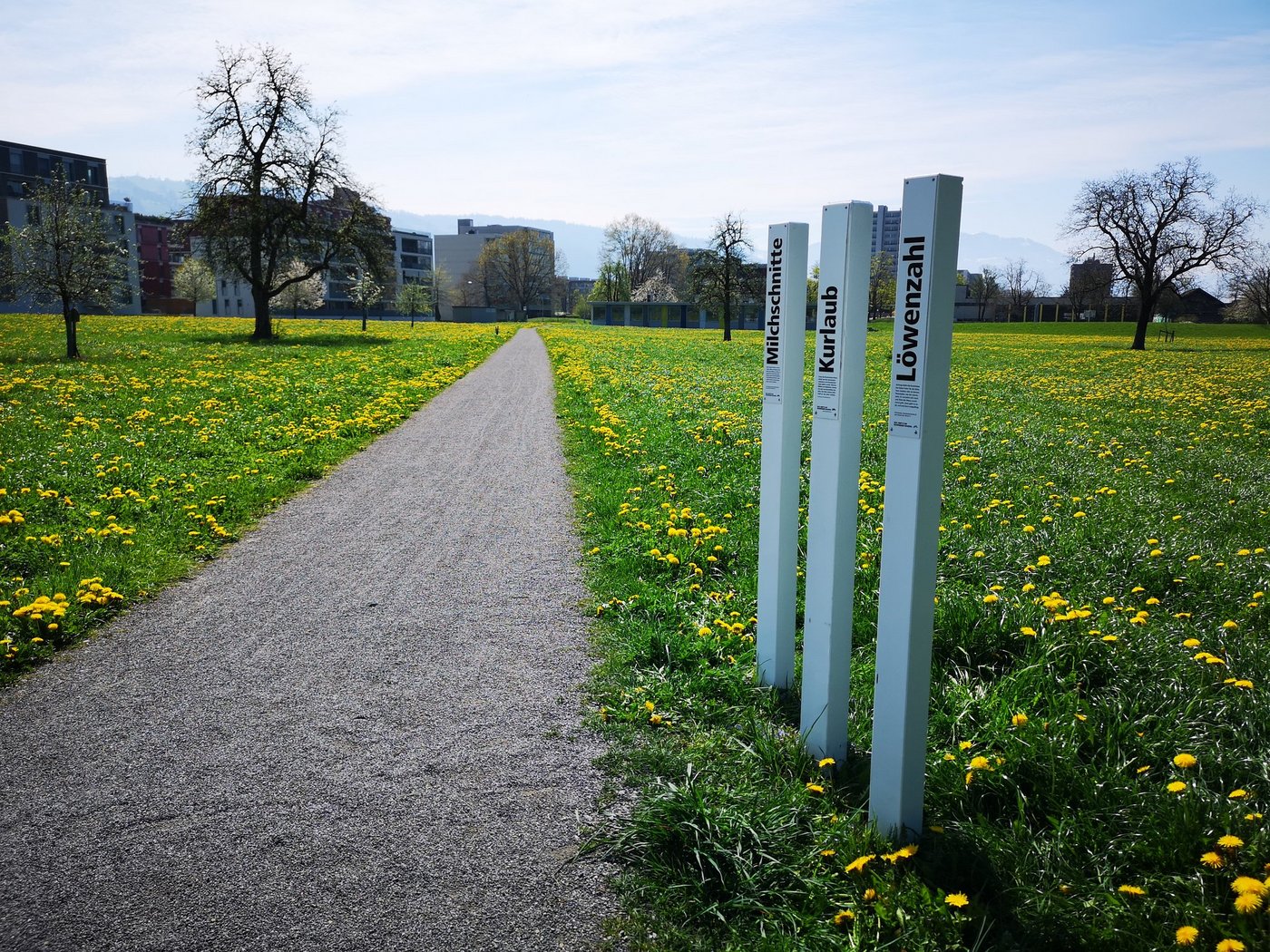 Auch im nächsten Jahr werden die weissen Lockpfosten wieder in der ganzen Schweiz zu finden sein. (Bild Schweizer Bauern)