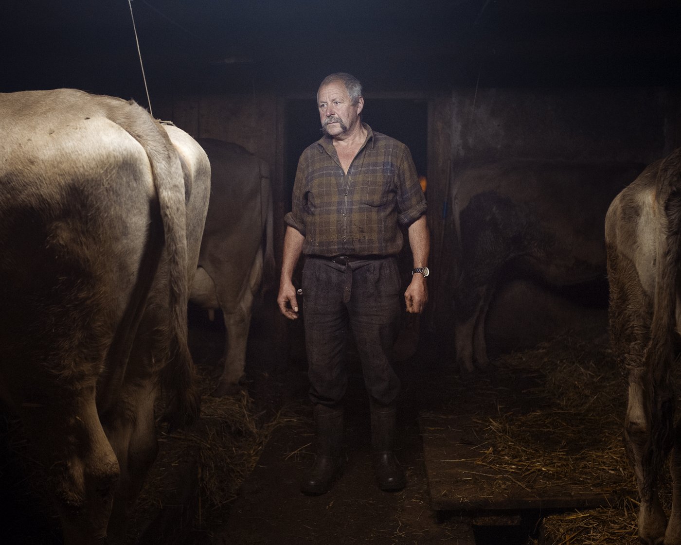 Die Porträts der Bauern sind genauso realistisch wie intim. 