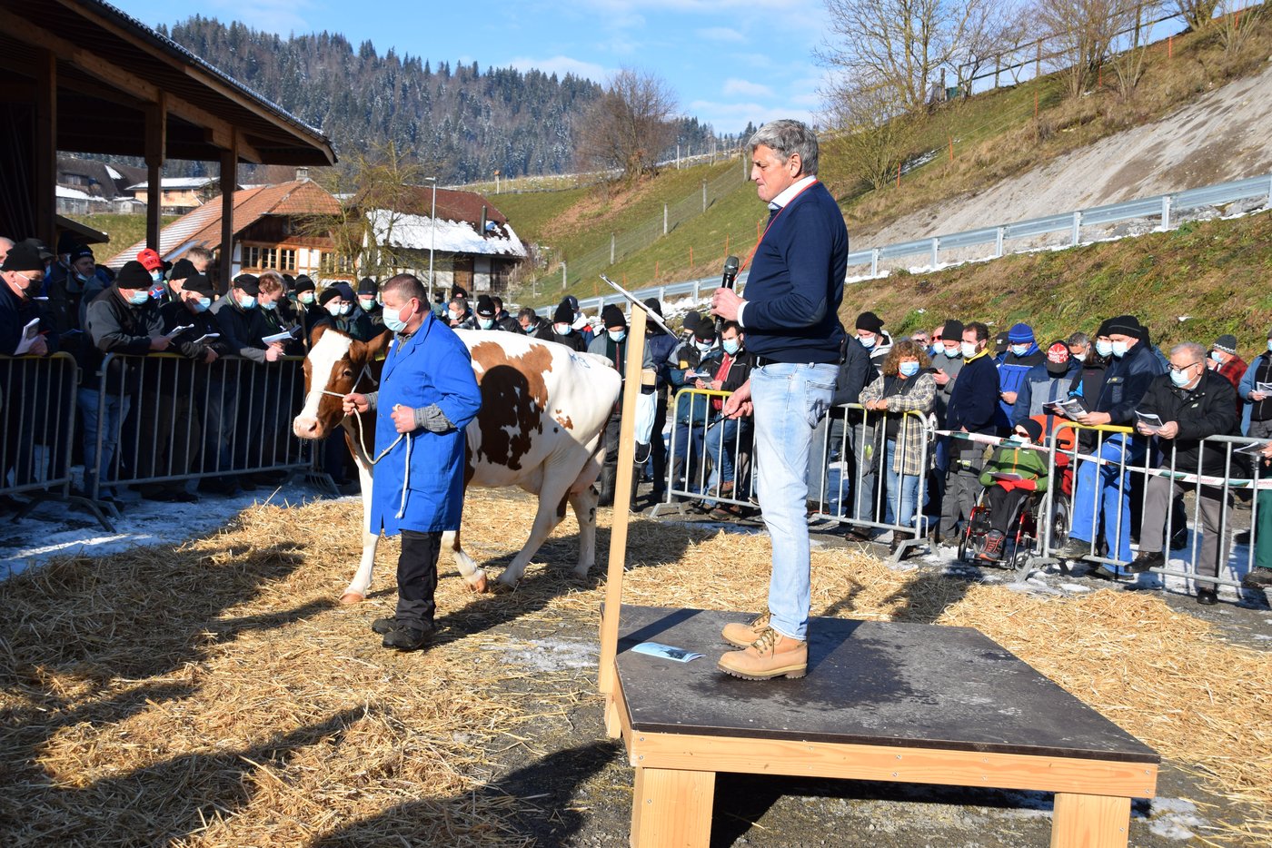 Stuwil Sarino Finale von Ueli Studer, Heitenried FR, galt 4100 Franken. (Bilder Peter Fankhauser)
