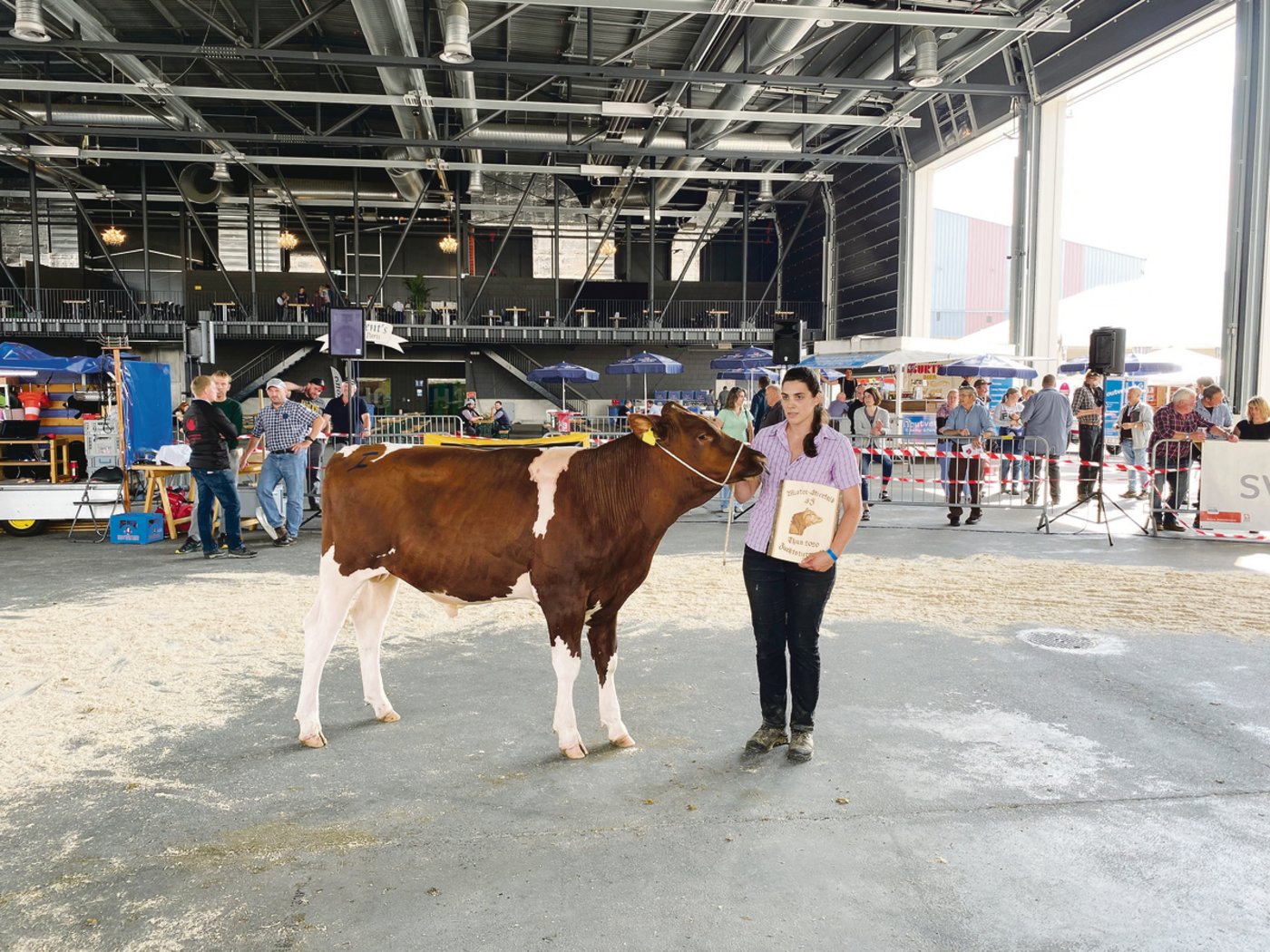 An SF-Züchter Bruno Beyeler, Plaffeien, kommt man schlecht vorbei. Sein Woltan gewinnt den Stierkalb-Titel. (Bild BauZ/lja)