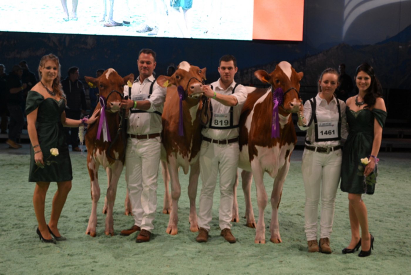 Junior-Champion-Wahl (von rechts nach links):  Siegerin Bel Barbwire Zaza, Allevamento Beltramino, Buriasco (Italien). Reserve Junior Champion Wiesenfeld Joy Red, Holstein Bosseler/ Antony's Belle Vue (Luxemburg) und Honorable Mention La Waebera Tibere Ottawa, Michel Clément et Fils, Le Mouret. 