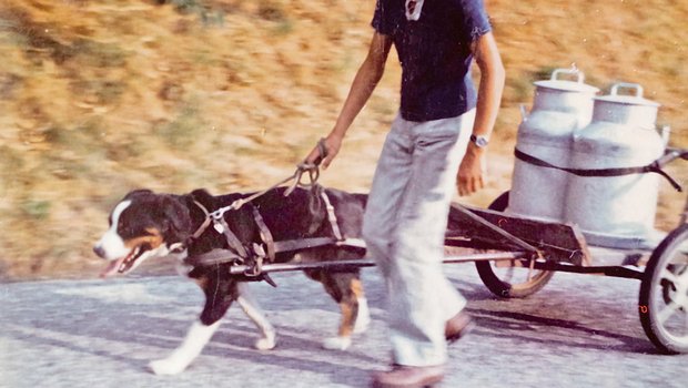 Peter Fankhauser mit dem Hund Bäri auf dem Käsereiweg. Das Bild dürfte über 40 Jahre alt sein. (Bild zVg)