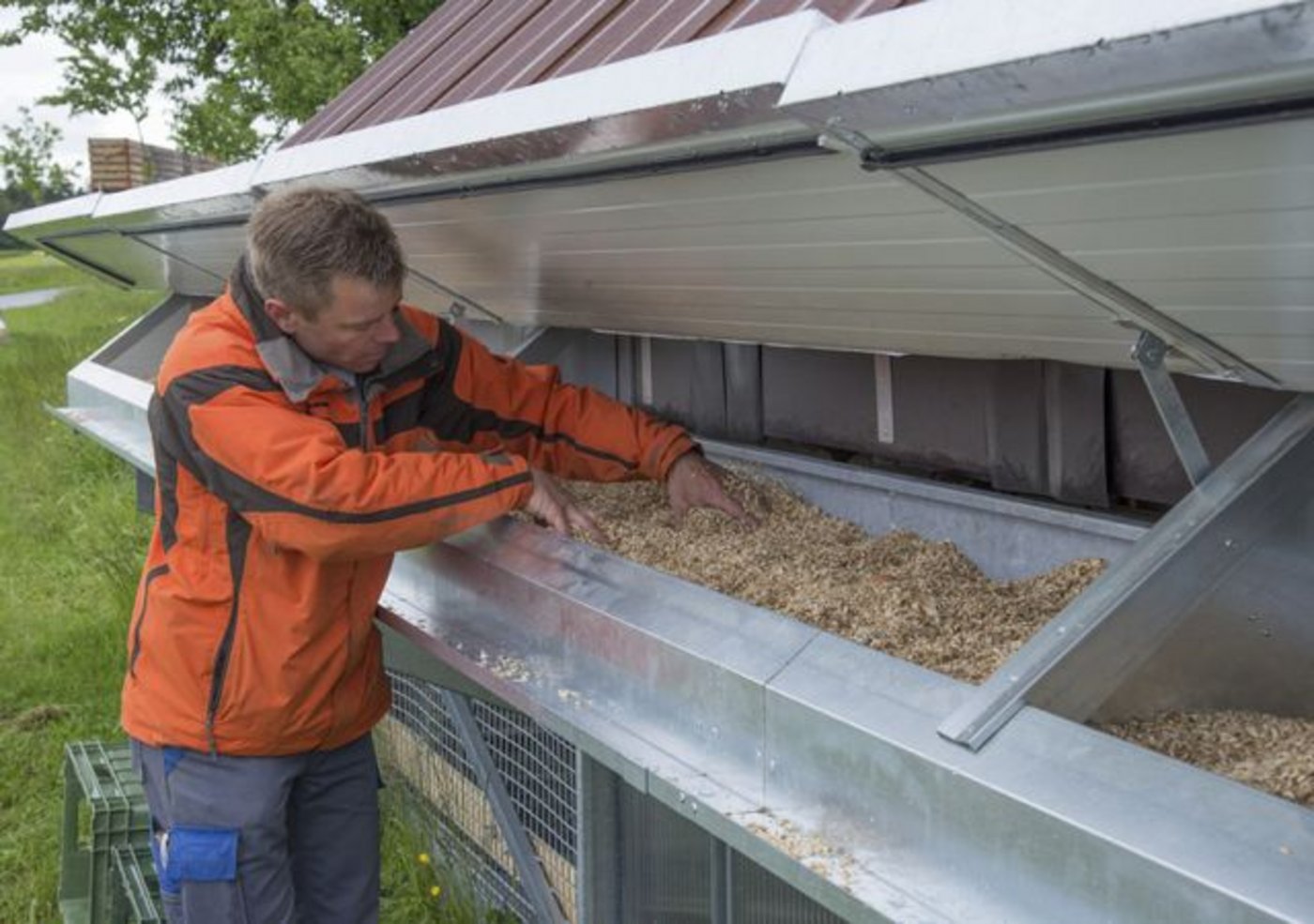 Kuno Werren entnimmt am Nachmittag die frisch gelegten Eier.