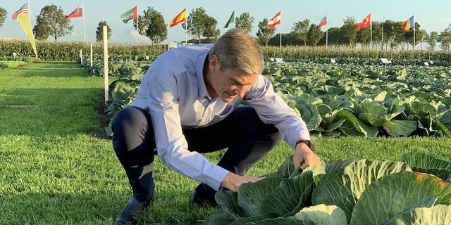 Syngenta (hier CEO Erik Fyrwald auf dem «Field of Innovation» in den Niederlanden) betont beispielsweise die Wichtigkeit des Pflanzenschutzes, um mögliche Krankheitserreger oder Gifte in Lebensmitteln auszuschliessen. (Bild Syngenta)