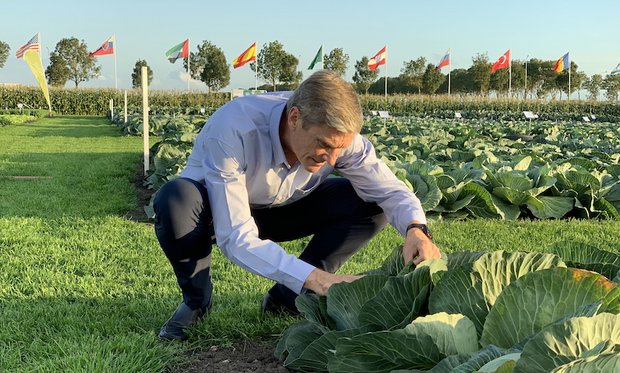 Syngenta (hier CEO Erik Fyrwald auf dem «Field of Innovation» in den Niederlanden) betont beispielsweise die Wichtigkeit des Pflanzenschutzes, um mögliche Krankheitserreger oder Gifte in Lebensmitteln auszuschliessen. (Bild Syngenta)