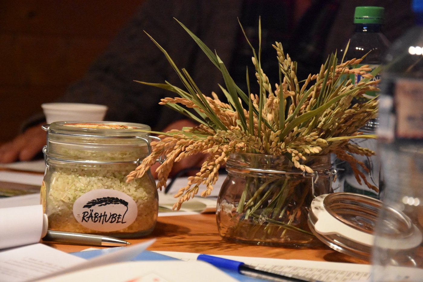 Erfolgreicher Prototyp: Dieser Reis stammt bereits aus dem Testversuch. (Bilder jba) 