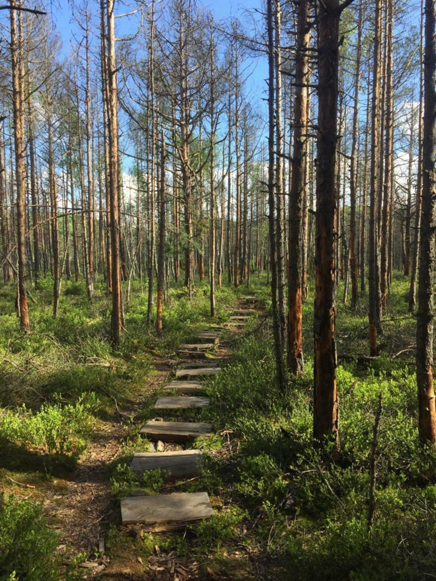 Die Studierenden der HAFL machten einen Ausflug zum Auf ihrem Ausflug zum St. Ana Lake.