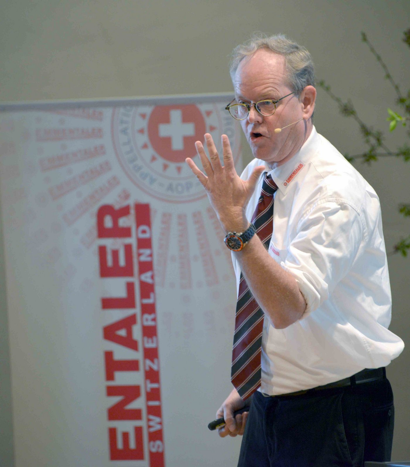 Stefan Gasser wurde im Juni 2014 zum Direktor der Sortenorganisation Emmentaler Switzerland gewählt. Seither lässt er im Marketing kaum einen Stein auf dem anderen und sorgt mit seiner Energie trotz schwieriger Marktlage für positive Stimmung. (Bild hja)