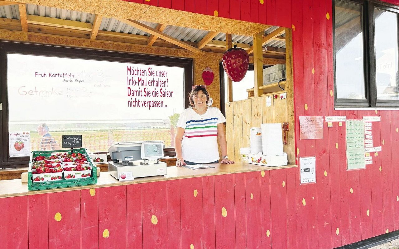 Priska Morfs Mutter, Regula Imhof, hält die Stellung im Erdbeer-Kassenhäuschen. Hier gibt gewogen und bezahlt.