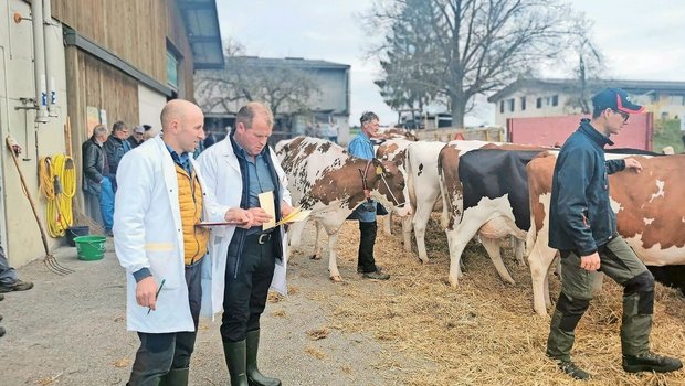 Die Punktierung beim Rind wird seit rund zehn Jahren nur noch aus der Kasse der Absatzförderung unterstützt. Nun wird der «Tierzucht-Geldhahn» für Schauen auch bei allen anderen Tiergattungen zugedreht. Das BLW schlägt drei Wege zur Anpassung vor. 