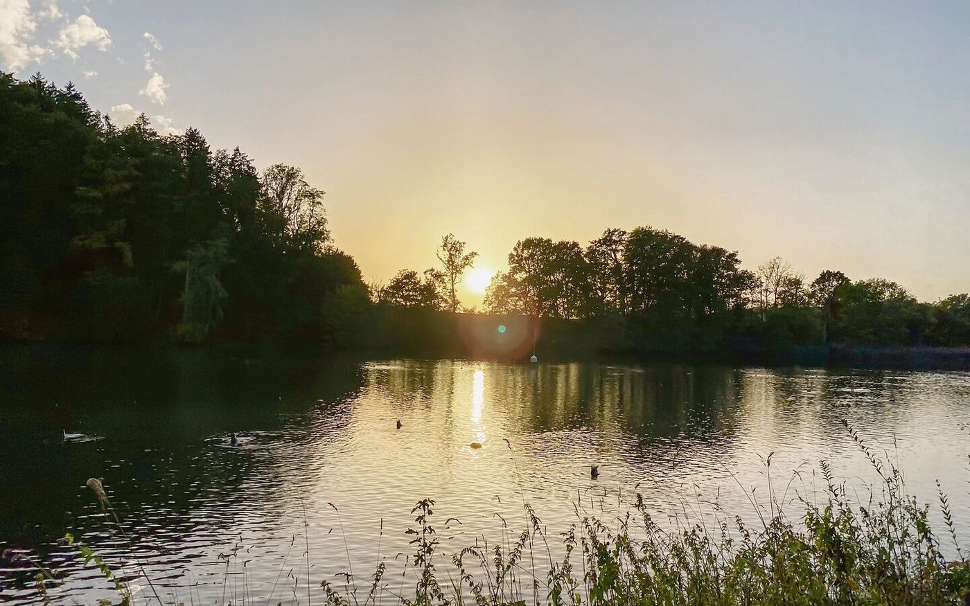 Bis weit in den September hinein zeigten sich die Temperaturen heuer sommerlich. Nach einem Kälteeinbruch mit kräftigem Regen bescheren uns die Luftströmungen über dem Atlantik aktuell einen goldenen Altweibersommer.