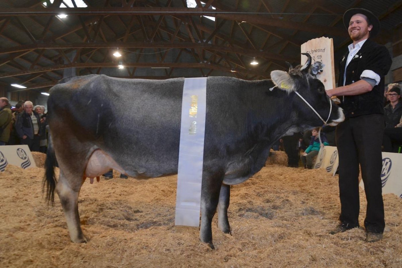 Heli Maloya von Hans und Simon Jegerlehner gewann den Miss Milchkuhtitel der Tiroler. Sie wurde auch zweite bei der Miss Schöneuterwahl. (Bilder Noëmi Elmiger)