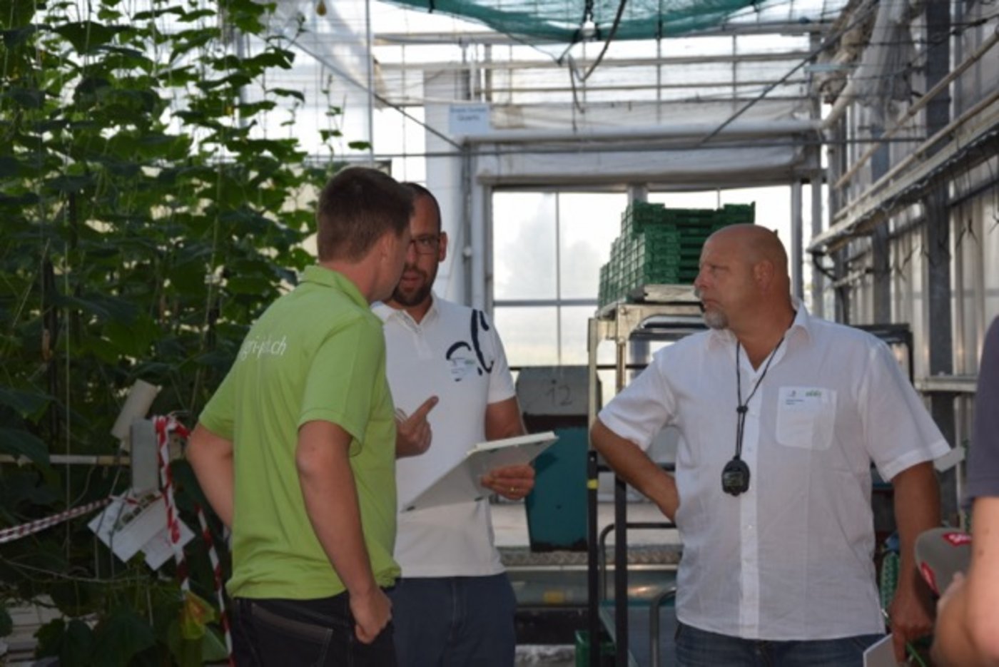 Die Experten im Gespräch mit Gian-Luca Anker.