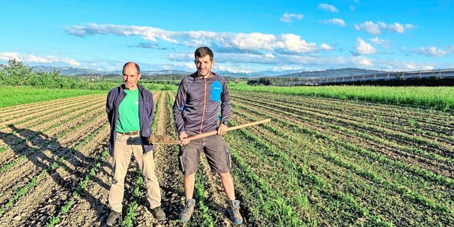 Herbert Schär mit Sohn Markus, der auf nächstes Jahr den Hof übernimmt. Links und rechts des Sojafeldes sind Wiesenstreifen. Zwischen den breiten Sojareihen wird Herbert Schär noch Speisehirse einsäen. 