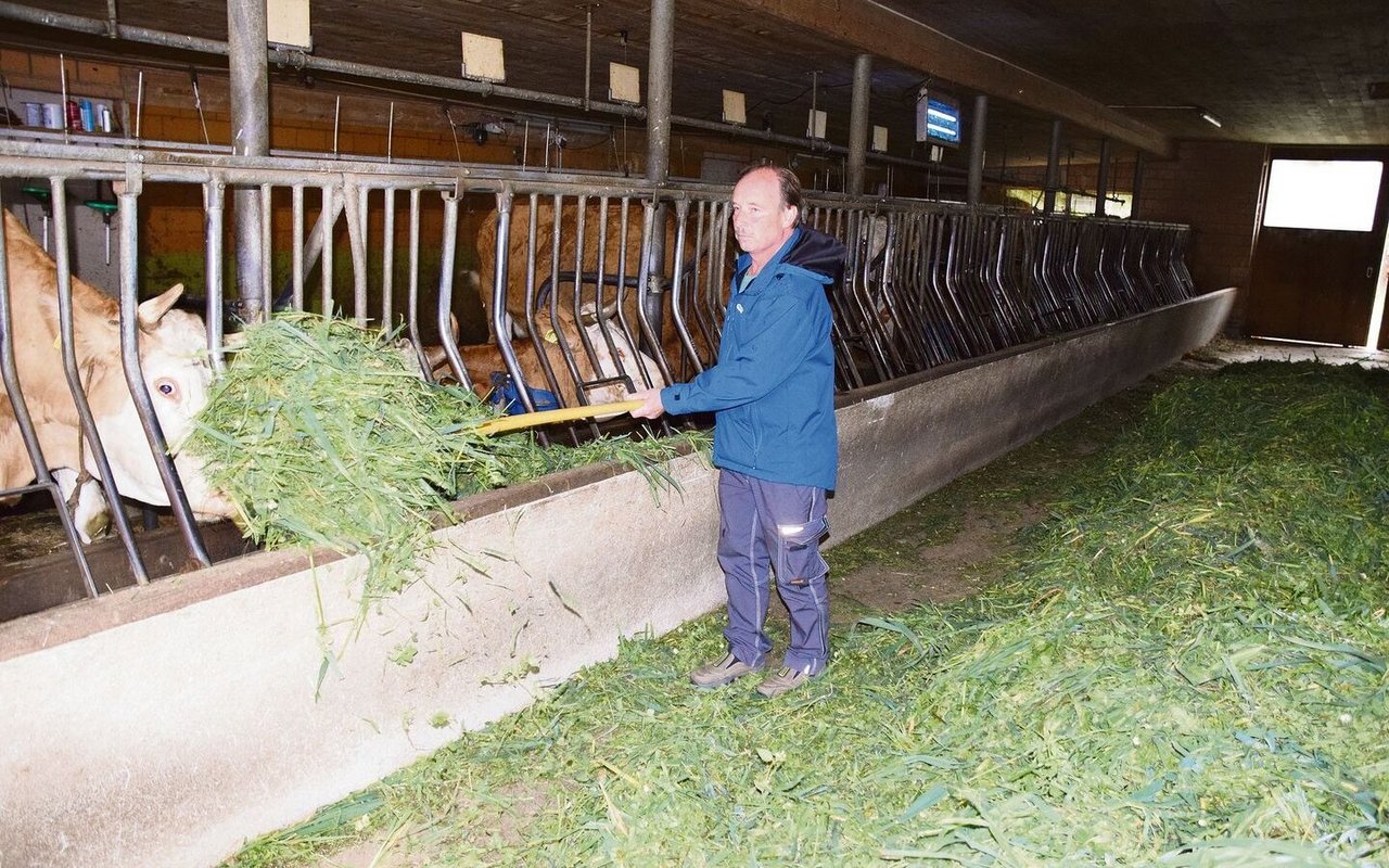 Für Fritz Berger, auch aus Fahrni, steht offen, ob er ab 1.1.2024 noch Milch produzieren will. Er gibt seine Kühe im Sommer auf die Alp und muss im Winter das RAUS trotzdem erfüllen.