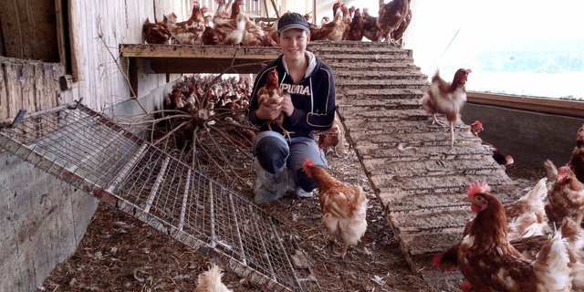 Corina Soltermann aus Utzigen BE befindet sich im dritten Lehrjahr auf dem Betrieb von Daniel Kläsi in Allmendingen BE. (Bilder zVg)